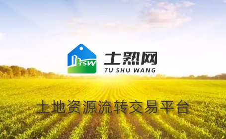 愛品特助力土熟網(wǎng)網(wǎng)絡(luò)營(yíng)銷推廣，共繪鄉(xiāng)村振興新篇章